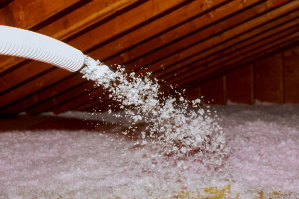 Best Types of Insulation in Selma, TX